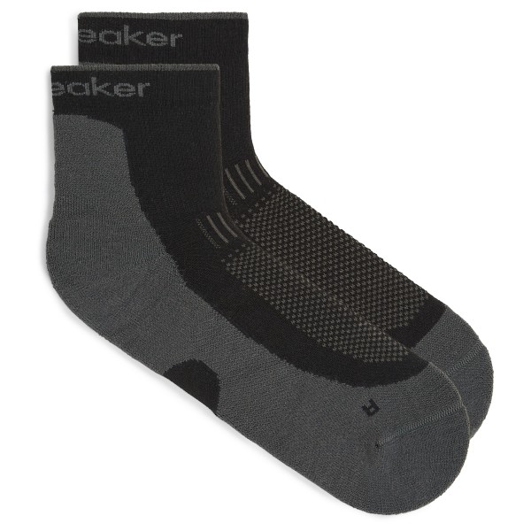 Icebreaker - Merino Hike+ Light Mini - Chaussettes de randonnée