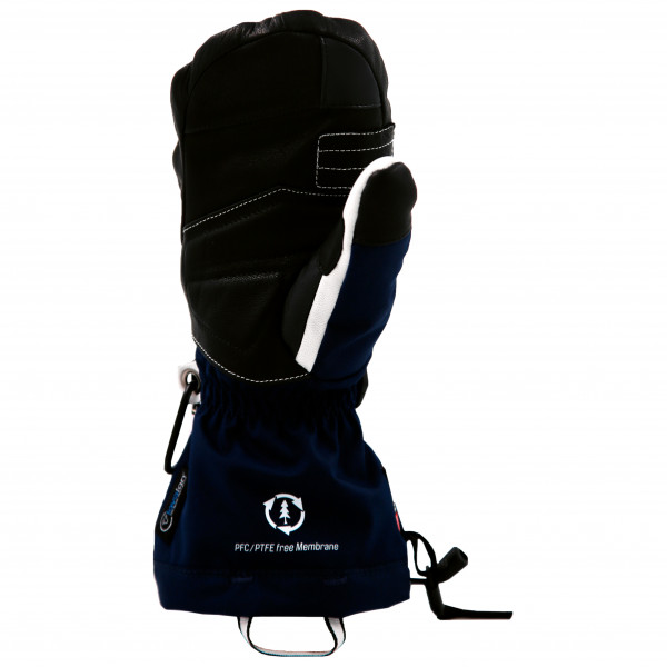 Snowlife - Women's Capricorn Dry-Tec Eco Mitten - Guantes