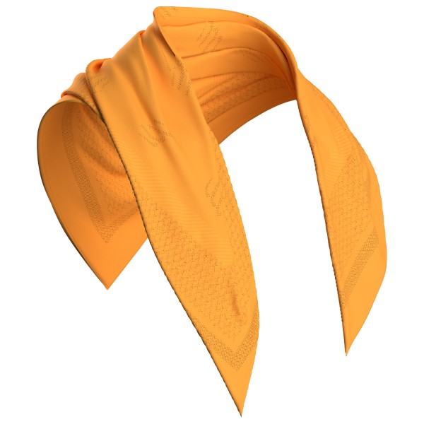 Compressport - Stayfresh Ice Bandana - Halstuch