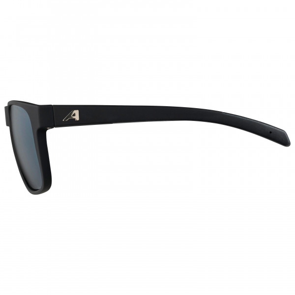 Alpina - Nacan III Mirror Cat. 3 - Gafas de sol