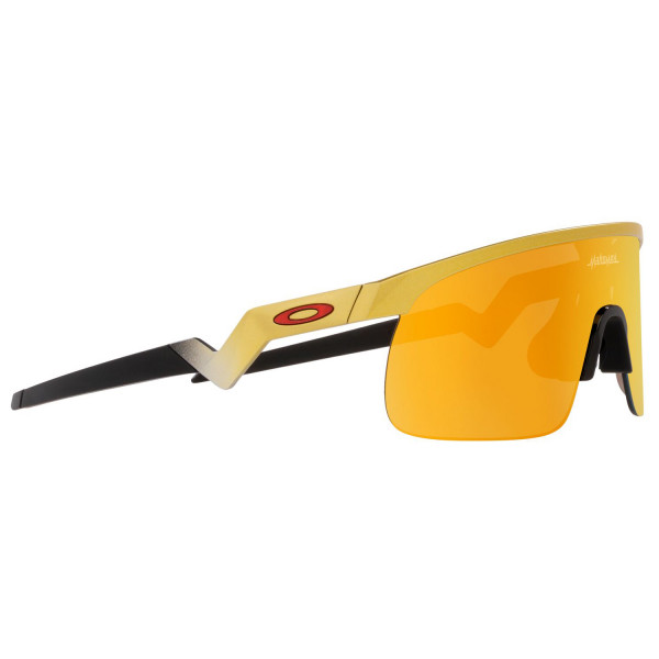 Oakley - Kid's Resistor Prizm S3 (VLT 11%) - Velobrille