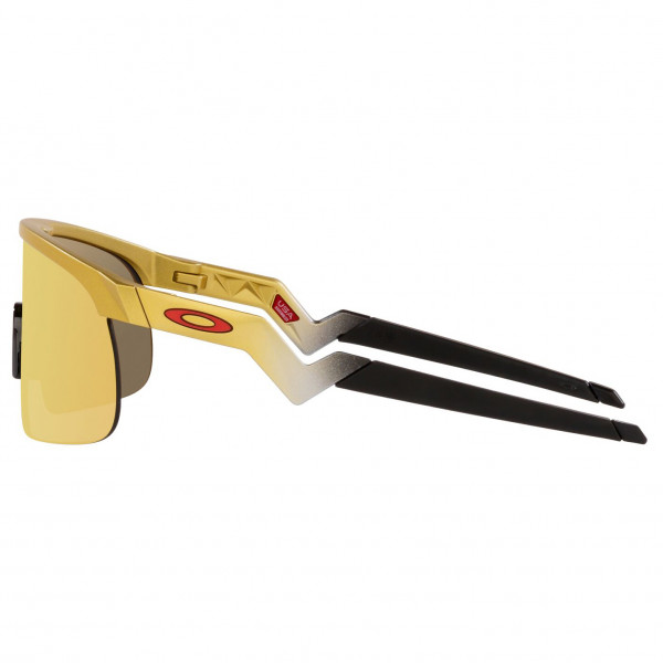 Oakley - Kid's Resistor Prizm S3 (VLT 11%) - Velobrille