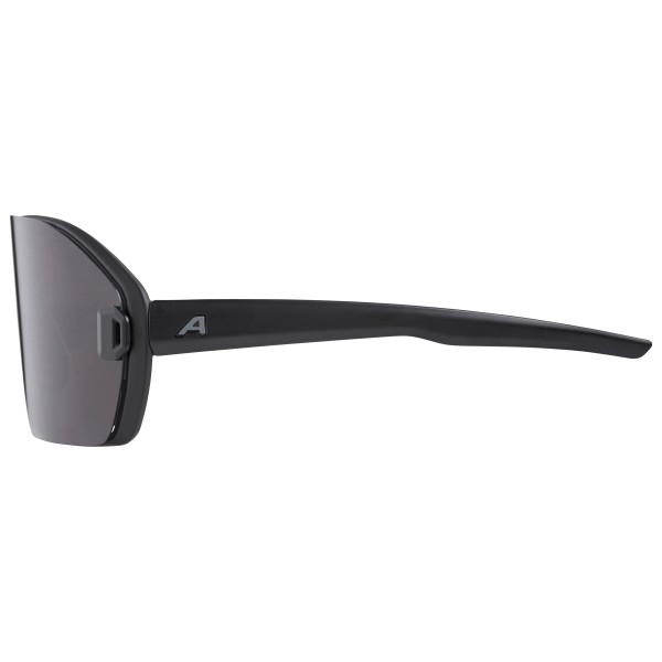 Alpina - Bonfire Mag Q S1 + Black S2 - Solbriller