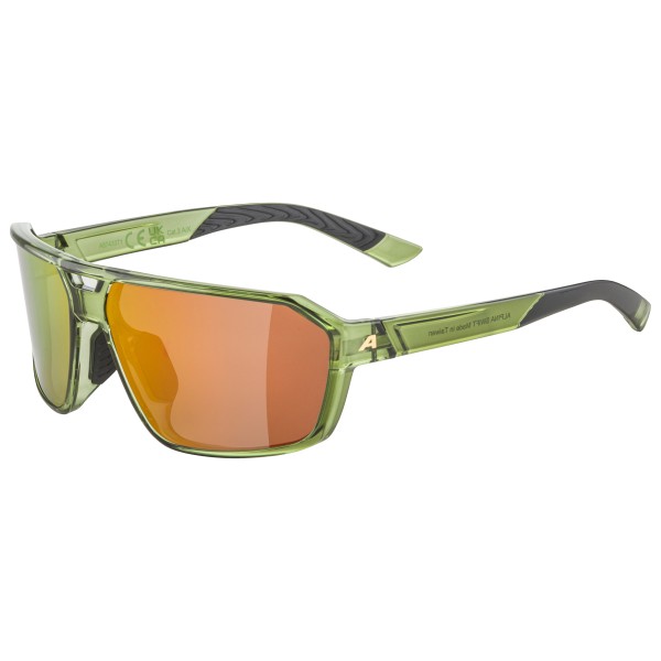 Lunettes de soleil Alpina Sports Jalix A8560 335 80-17 pas cher