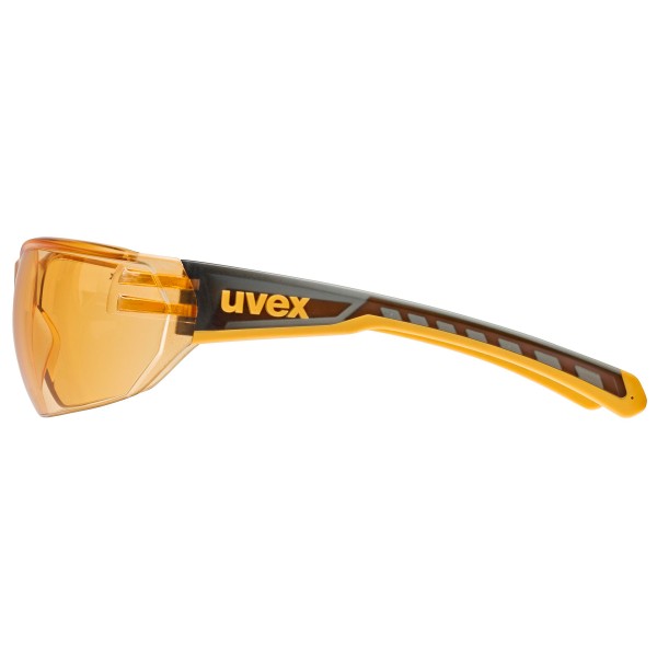 Uvex - Equate Cat. 1 (VLT 72%) - Solglasögon