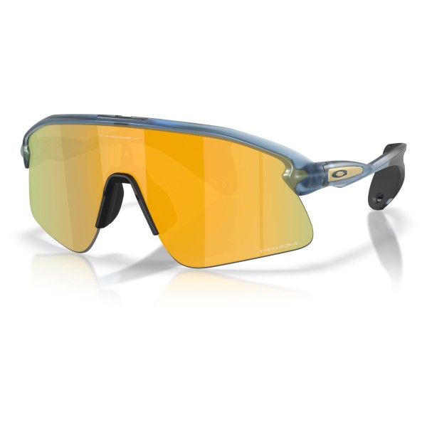Oakley - Stunt Devil S3 (VLT 11%) - Velobrille