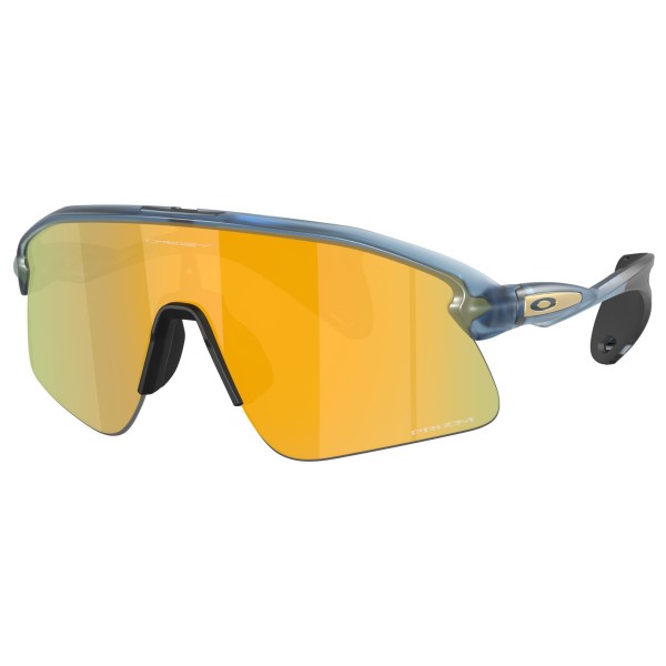 Oakley - Stunt Devil S3 (VLT 11%) - Velobrille