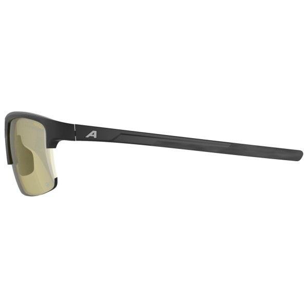 Alpina - Eagle Q-Lite S1 - Sunglasses
