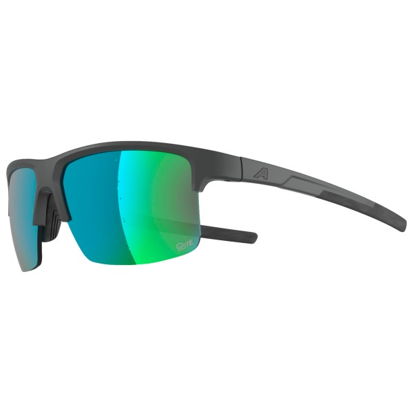Alpina - Eagle Q-Lite S2 - Sonnenbrille