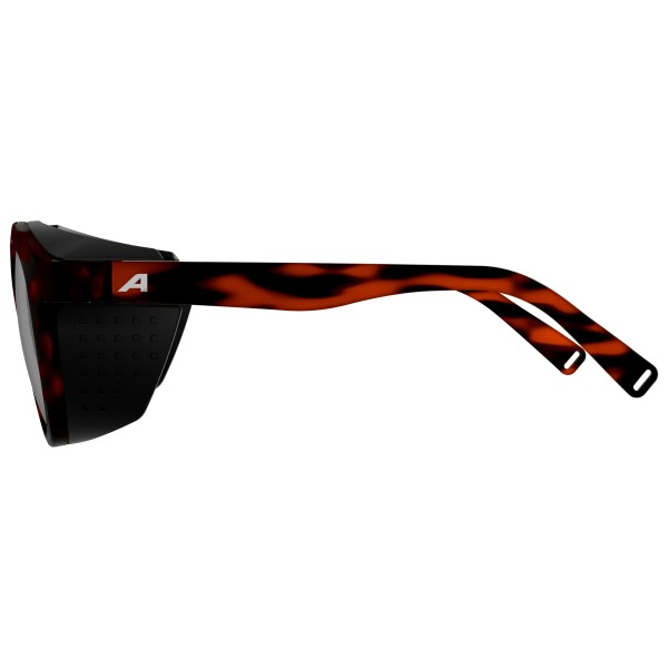 Alpina - Glace S3 - Gafas de glaciar