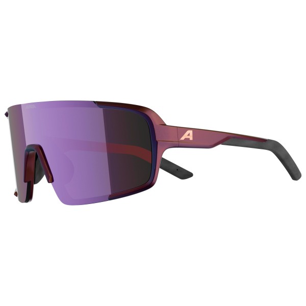 Alpina - Lumin Mirror S2 - Gafas de sol