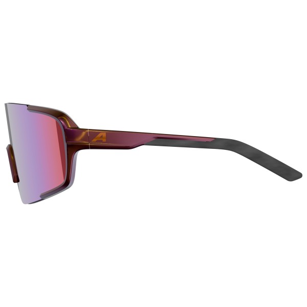 Alpina - Lumin Mirror S2 - Gafas de sol