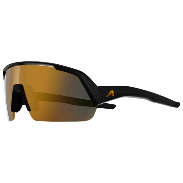 Alpina - Turbo HR Mirror S3 - Cycling glasses