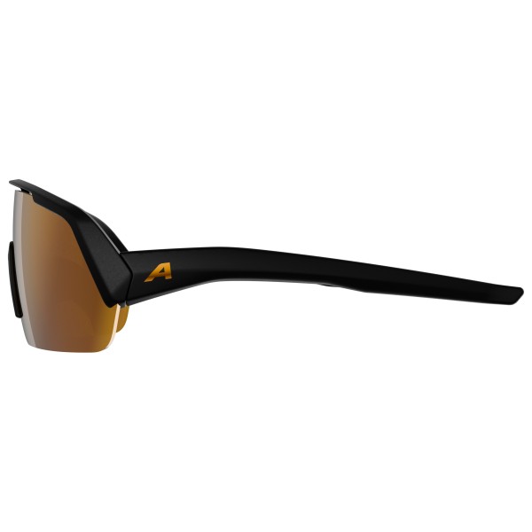 Alpina - Turbo HR Mirror S3 - Cycling glasses