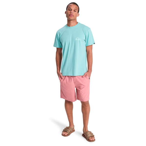 Quiksilver - EV Mini Logo S/S - T-paidat