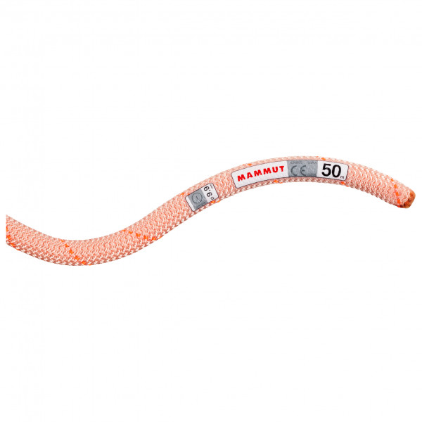 Mammut - 9.9 Gym Workhorse Classic Rope - Enkeltouw