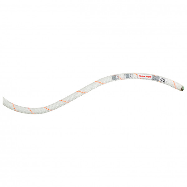 Mammut - 9.9 Gym Workhorse Dry Rope - Cuerda simple