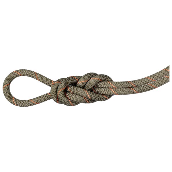 Mammut - 9.9 Gym Workhorse Classic Rope - Yksöisköysi