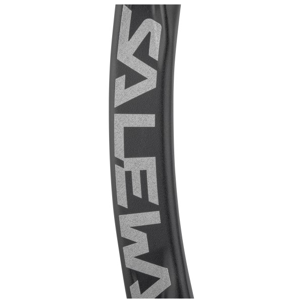 Salewa - Ortles Straight Carabiner - Karabin med snaplås