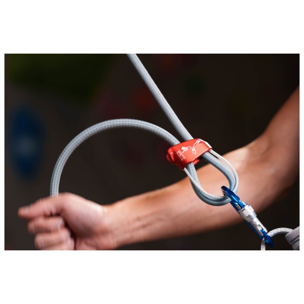 SIMOND - Rocky M Vis Secure Blue - Schroefkarabiner