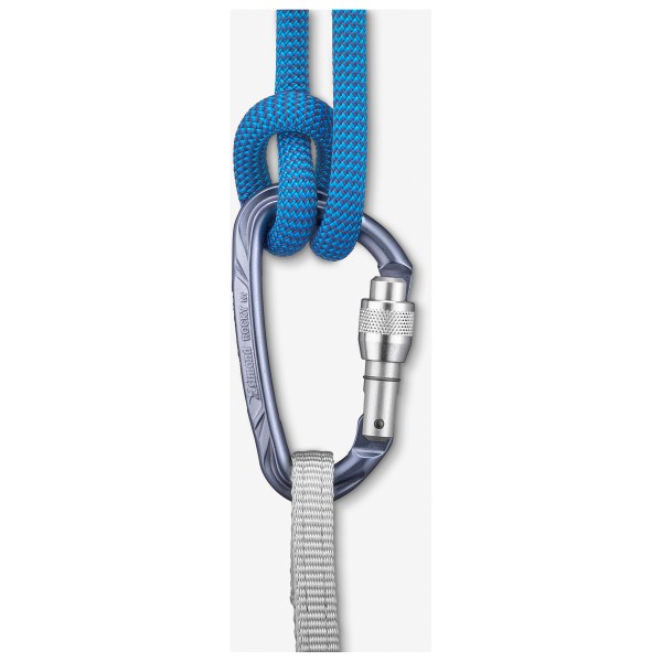 SIMOND - Rocky M Vis Secure Mauve - Screwgate carabiner
