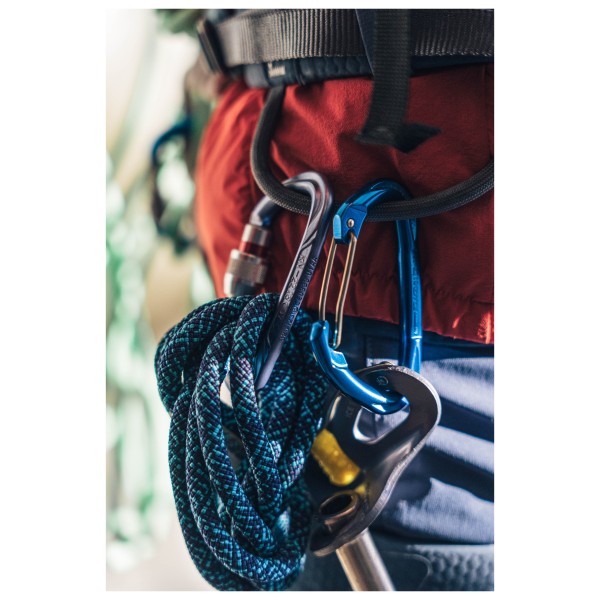 SIMOND - Rocky M Vis Secure Mauve - Screwgate carabiner