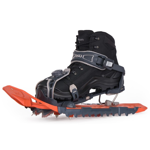 TSL - Highlander Original 2 - Ciaspole