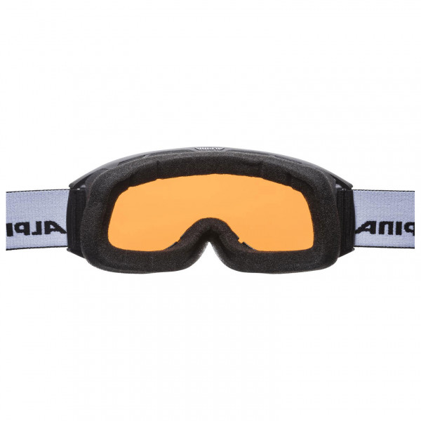 Alpina - Nakiska Doubleflex Hicon S2 - Skibriller