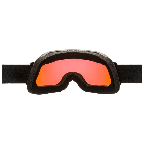 Alpina - Blackcomb Q S2 - Skibriller