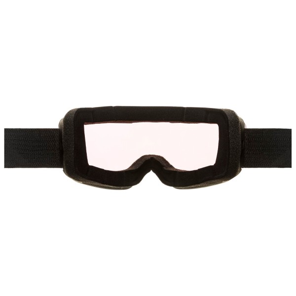 Alpina - Nendaz QV S2 - Maschera da sci