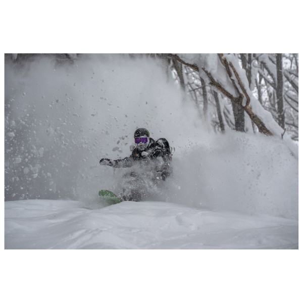 Giro - Method II Vivid S3 (VLT 16%)/Vivid S1 (VLT 58%) - Ski goggles