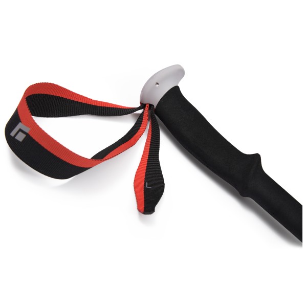 Black Diamond - Expedition 2 Ski Poles - Skidturstavar