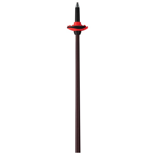 Rossignol - Hero Carbon Kevlar - Skistokke