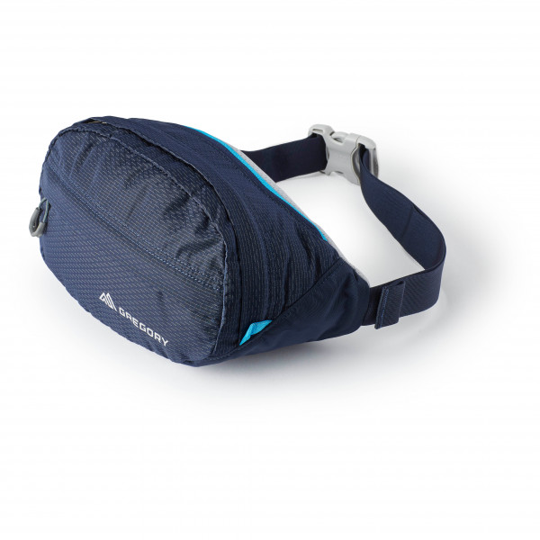 gregory hip pack