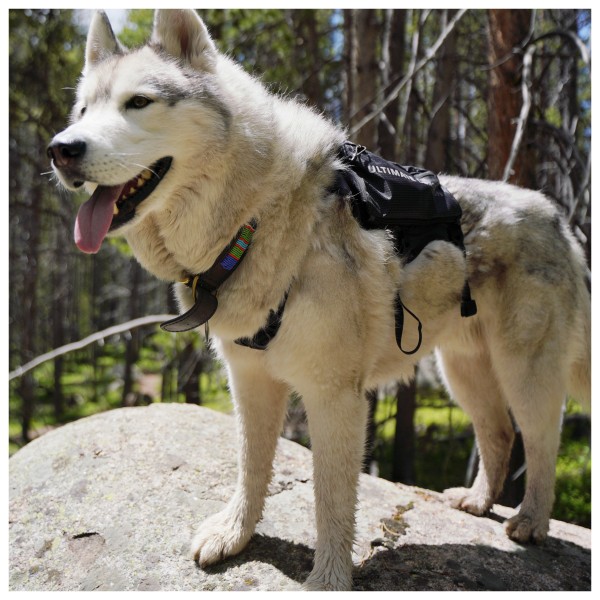Ultimate Direction - Adventure Pocket - Sac banane