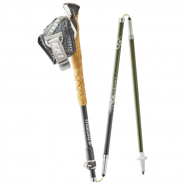 Maloja - AbendseglerM. - Walking poles