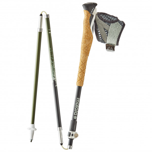 Maloja - AbendseglerM. - Walking poles