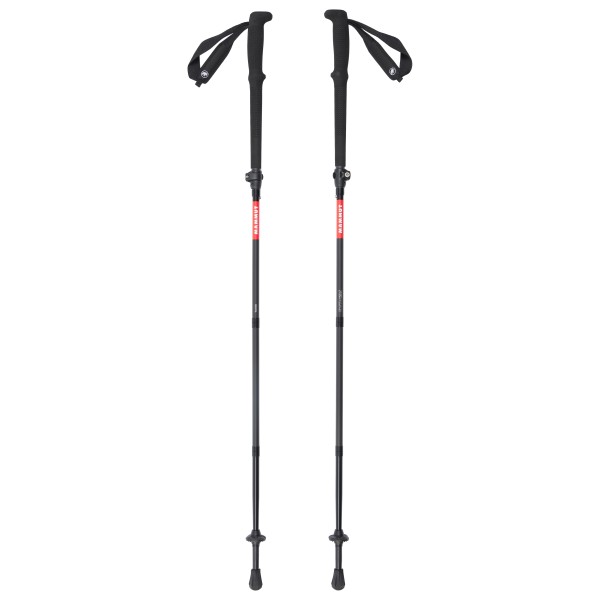 Mammut - Taiss Poles - Bastones de trekking