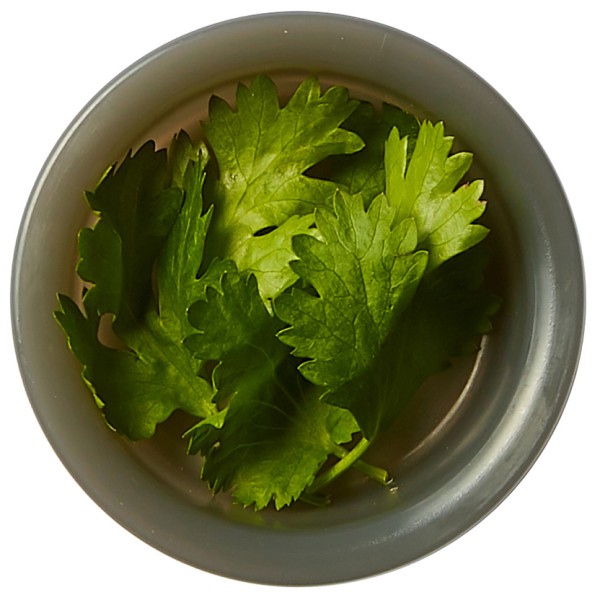 black+blum - Original Lunchbox - Madopbevaring