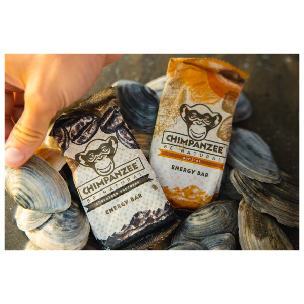 Chimpanzee - Energy Bar Dark Chocolate & Sea Salt - Energieriegel