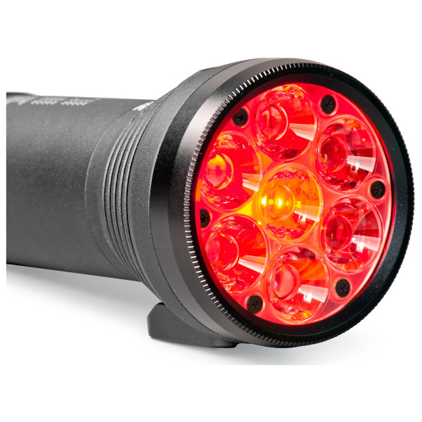 Lupine - Betty TL2 - Torch