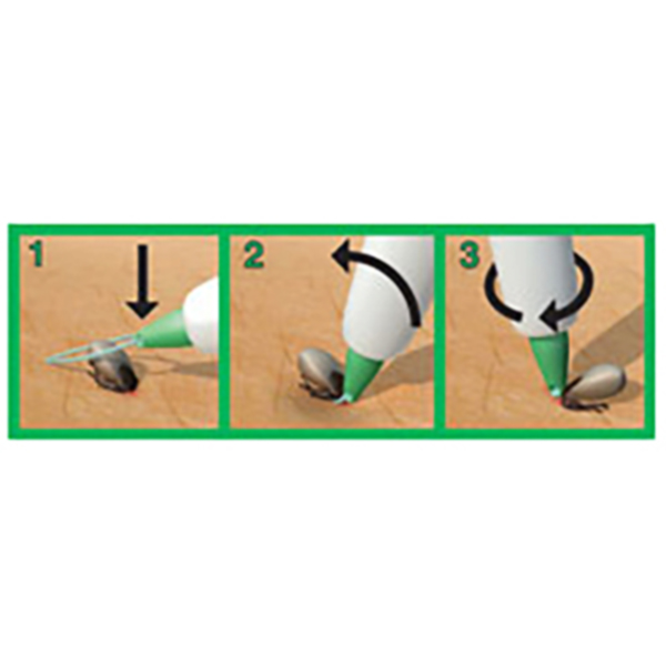 Relags - 3iX Tekentang