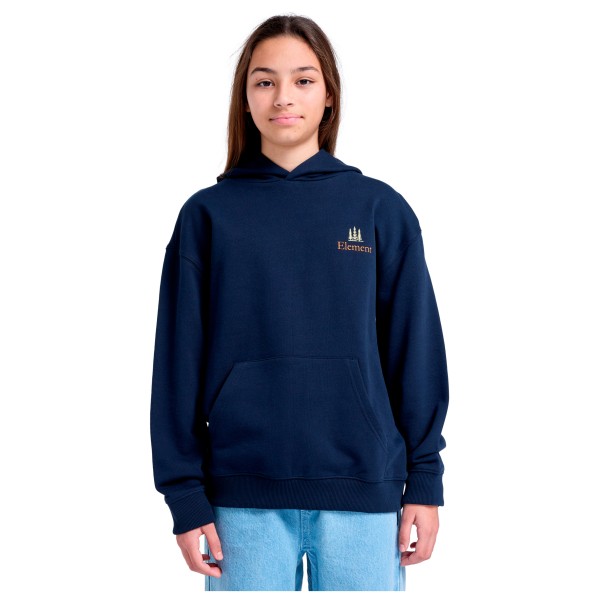 Element - SBXE Remember Youth - Sweat à capuche