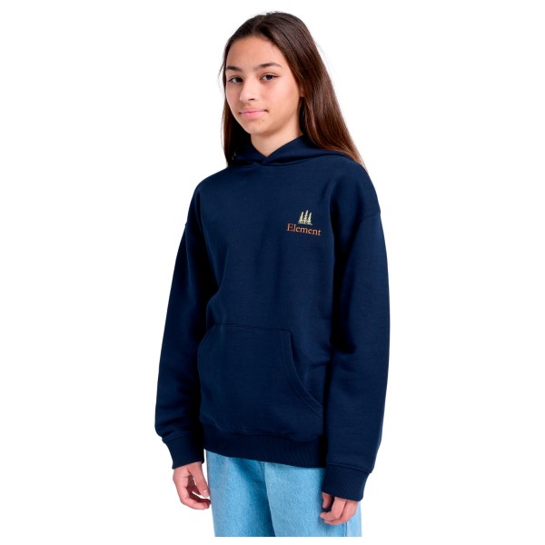 Element - SBXE Remember Youth - Sweat à capuche