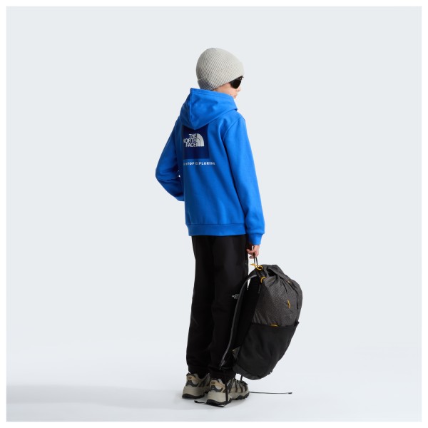 The North Face - Kid's Evolution Box NSE Pullover Hoodie - Munkjacka
