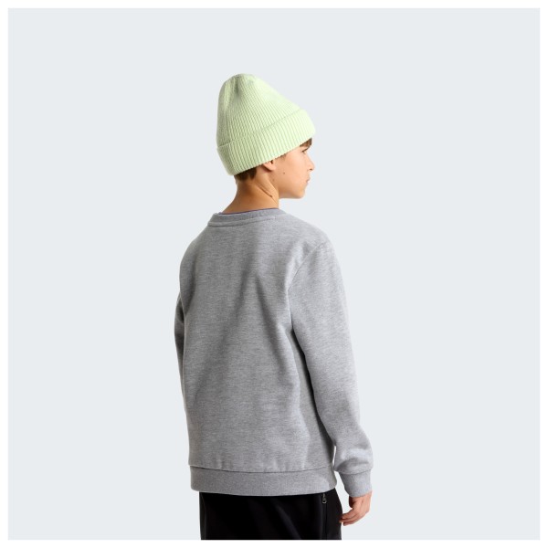 The North Face - Kid's Teen Evolution Simple Dome Crew - Pulloverit