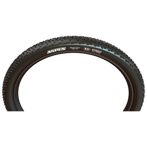 Maxxis - Aspen 29'' (61-622) EXO TR Team - Bicycle tyre