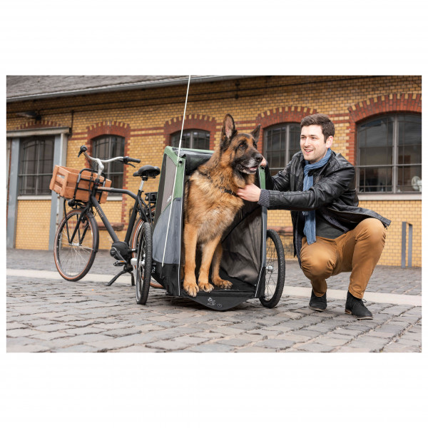 Croozer - Croozer Dog Bruuno - Transportanhänger