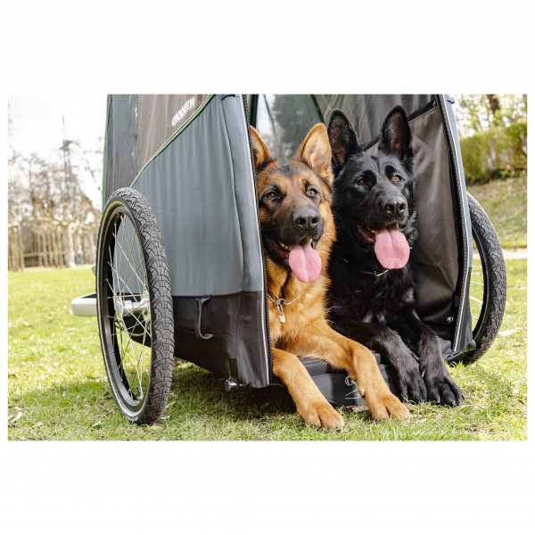 Croozer - Croozer Dog Bruuno - Transportanhänger