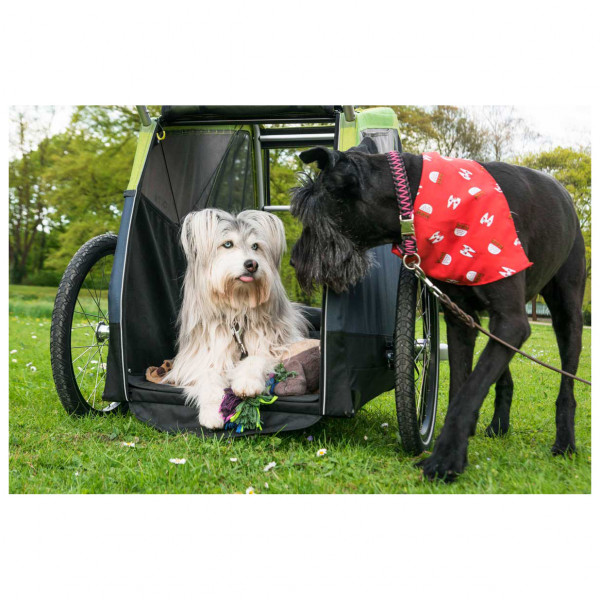 Croozer - Croozer Dog Jokke - Remolques de carga